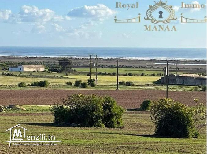 Des terrains à vendre: Chatt zouhour _Lebna