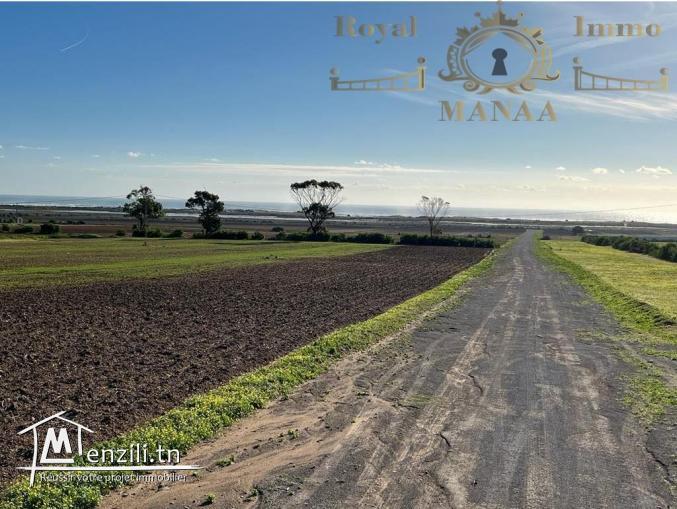 Des terrains à vendre: Chatt zouhour _Lebna