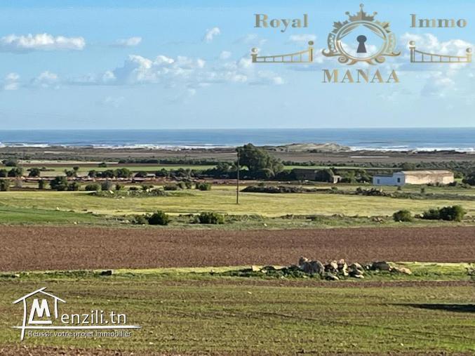Des terrains à vendre: Chatt zouhour _Lebna