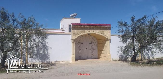 lot de terrain à zaghouan de 1000 m²