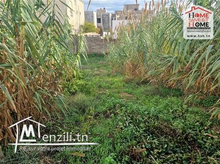 Terrain Villa Pallavicino à Vendre à Gammath Foret