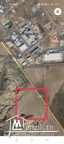 25  منوبة هكتار للبيع بالجزء أو كاملة بالفجة برج العامري