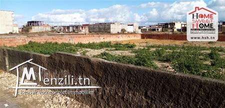 Terrain floral a vendre a Raoued