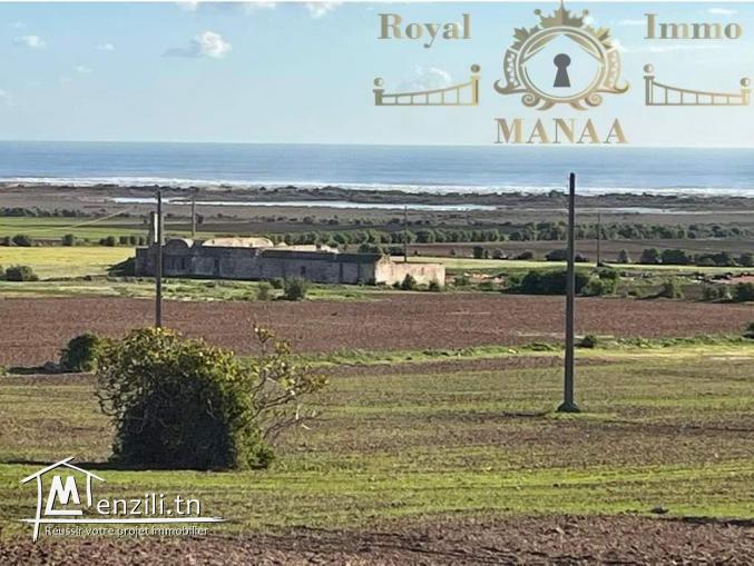 Lotissement plage Chatt Ezouhour Libna Nabeul