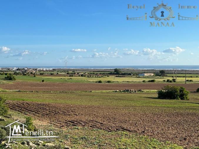 Lotissement plage Chatt Ezouhour Libna Nabeul