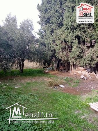 Villa Jinen à Vendre à La Nouvelle Médina