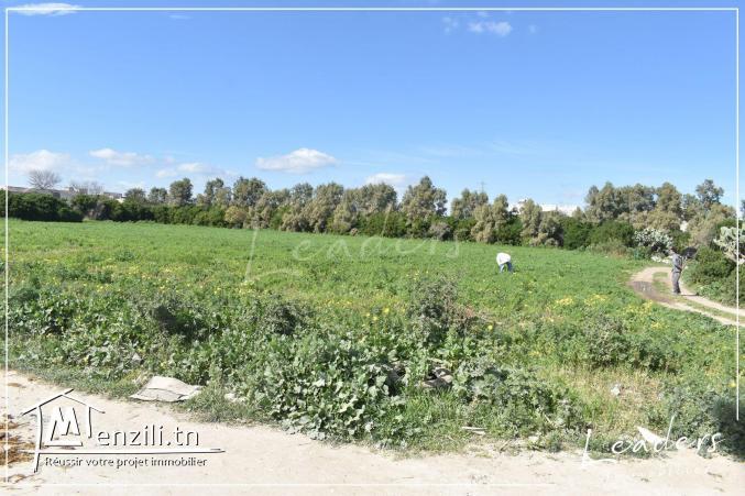 #A vendre un beau terrain à chotrana 2