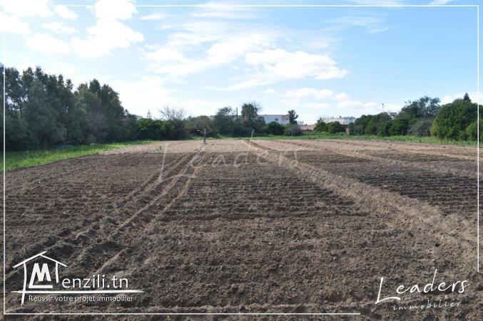 #A vendre un beau terrain à chotrana 2