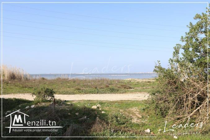 #A_VENDRE un beau terrain à CHOTRANA 3