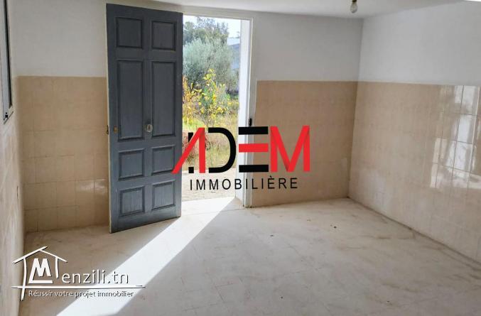 Local de 500m² couvert