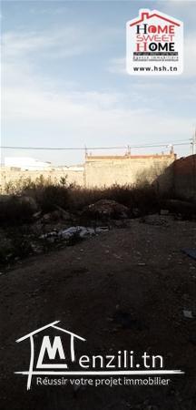 terrain vagary a vendre a raoued