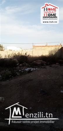 terrain vagary a vendre a raoued