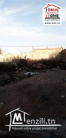 terrain vagary a vendre a raoued