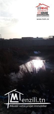 terrain flamingo a vendre a raoued