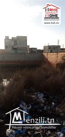 terrain flamingo a vendre a raoued