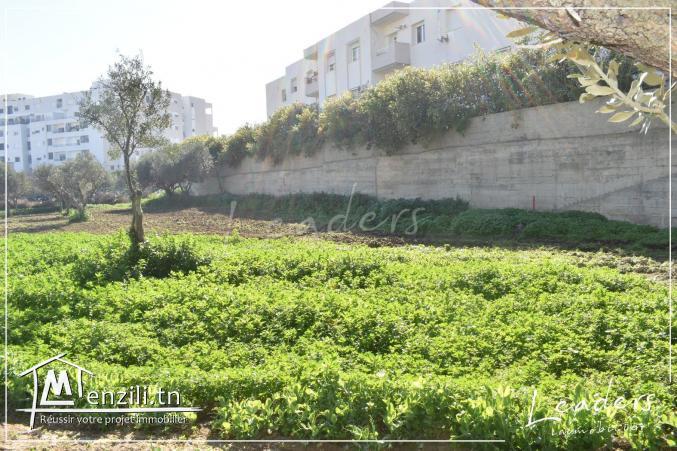 À vendre un terrain situé à GHAZELA