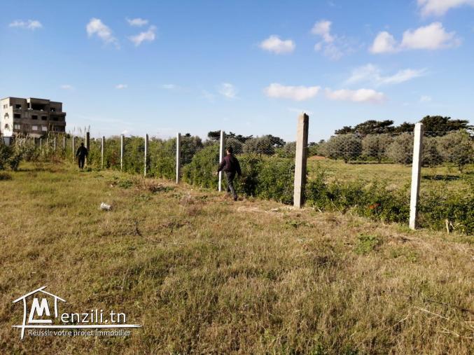 TERRAIN CONSTRUCTIBLE A VENDRE A DAR ALLOUCHE