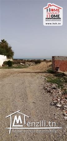 terrain russ a vendre a raoued plage