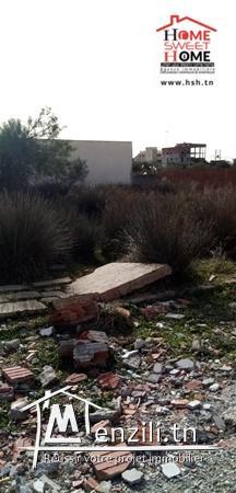 terrain russ a vendre a raoued plage