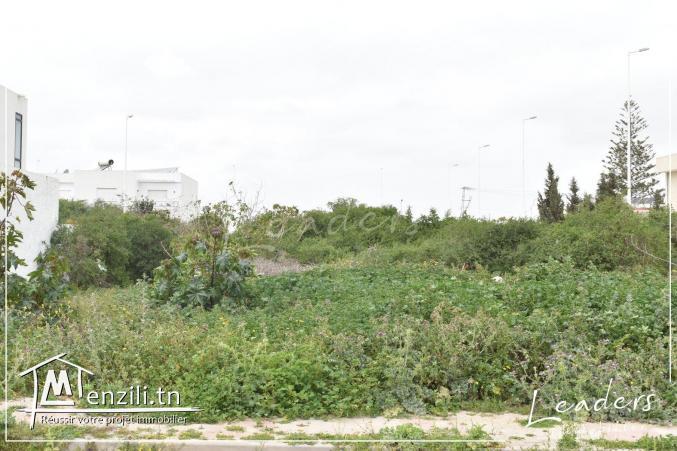 À vendre un terrain constructible situé à CHOTRANA 2