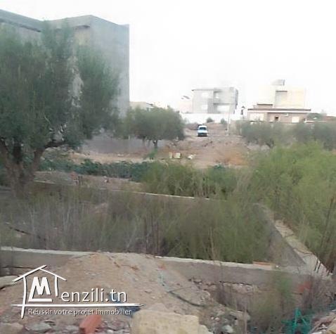 terrain 112 m à kalaa kebira