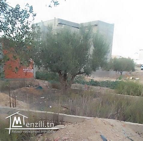 terrain 112 m à kalaa kebira