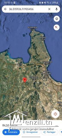 Terrain à vendre à Bir Mcherga (Tunisie)