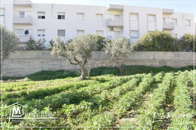 À vendre un terrain constructible situé à GHAZELA