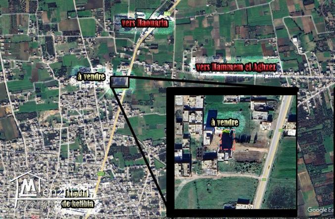 terrain à kelibia route Hammam Aghzez