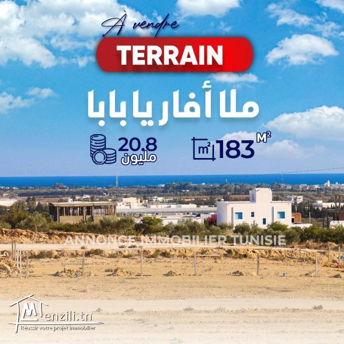A vendre un terrain situé à Hammamet sud exactement sidi Hamed
