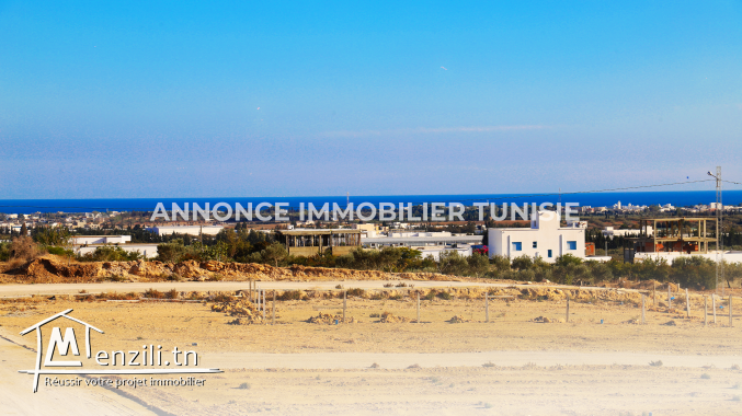 A vendre un terrain situé à Hammamet sud exactement sidi Hamed