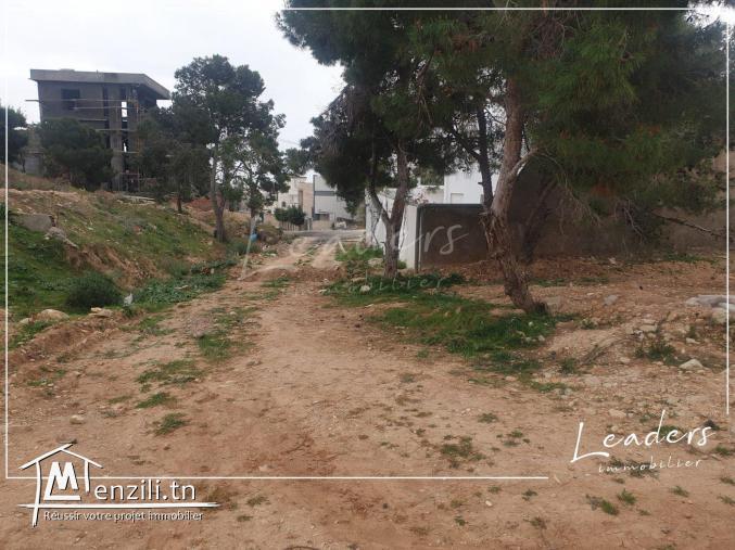 À vendre un terrain constructible situé à Riadh andalous