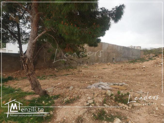 À vendre un terrain constructible situé à Riadh andalous