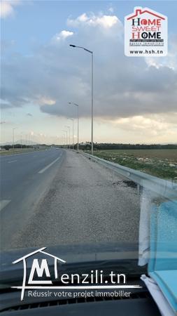 Terrain Agricole Palacios à Vendre à Sidi Hssine