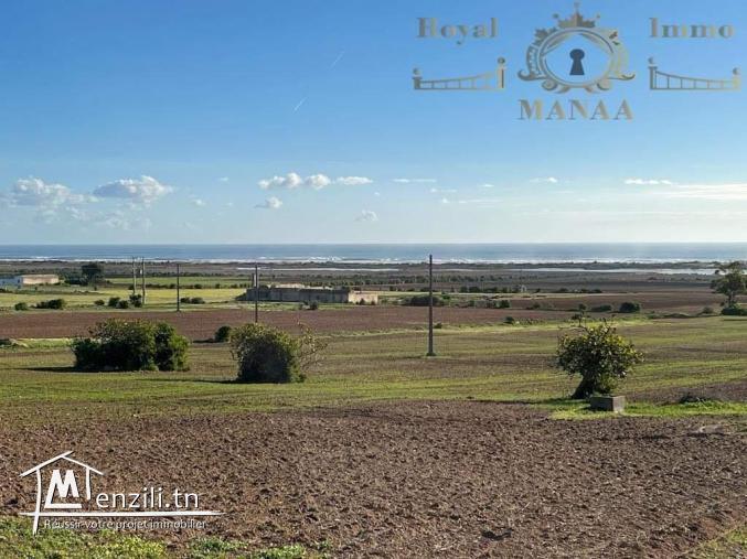 Lotissement prés de la plage chatt ezzouhour