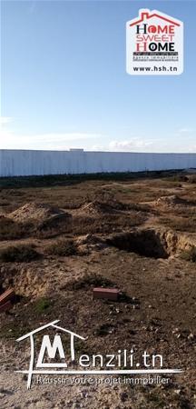 Terrian kindel A Vendre A Raoued