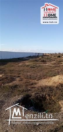 Terrian kindel A Vendre A Raoued