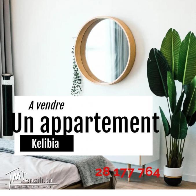 #avendre un appartement neuf S+2 à kélibia  110MD