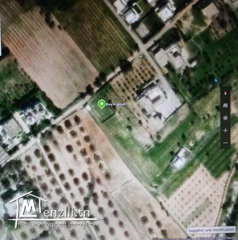 Terrain à vendre à borj hfaidh