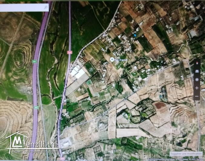 Terrain à vendre à borj hfaidh