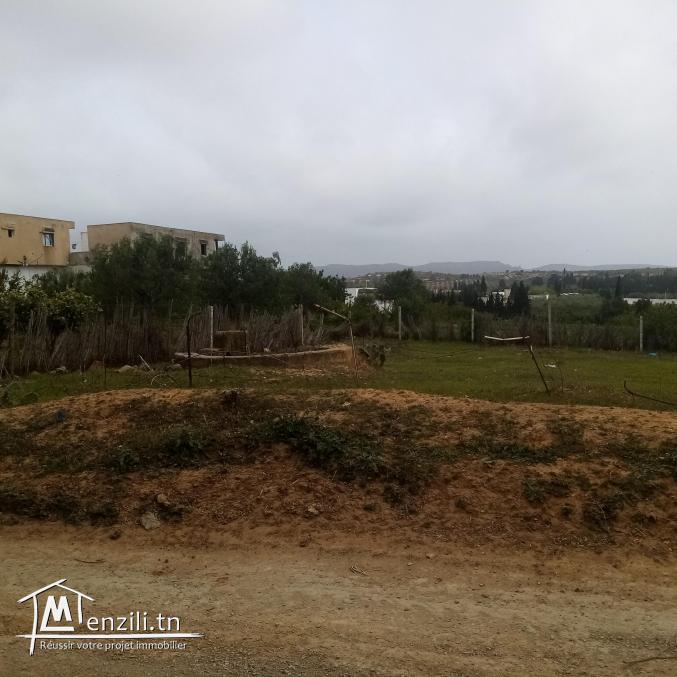 Terrain à vendre à borj hfaidh