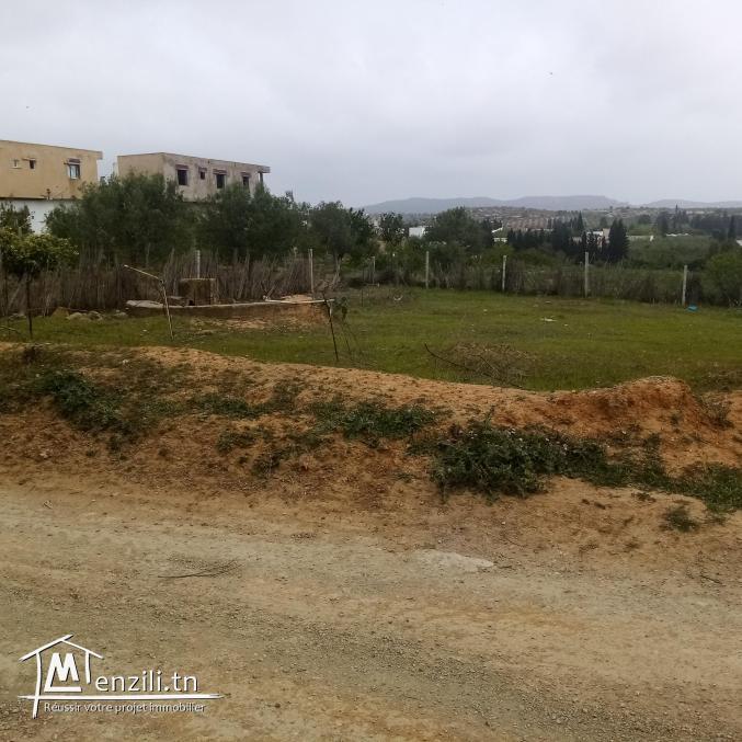 Terrain à vendre à borj hfaidh