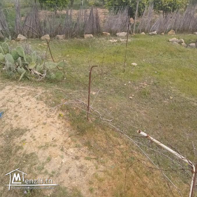 Terrain à vendre à borj hfaidh