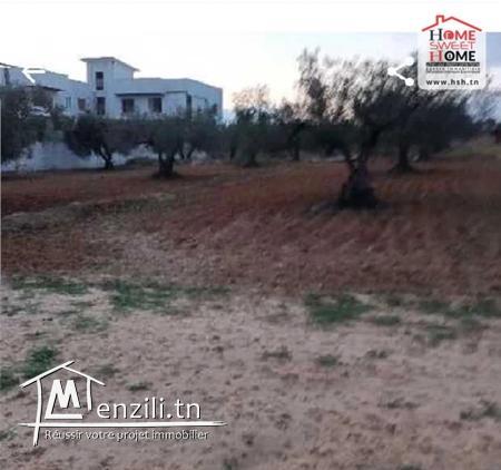 Terrain Sergio à Vendre à Chat Mariem Sousse