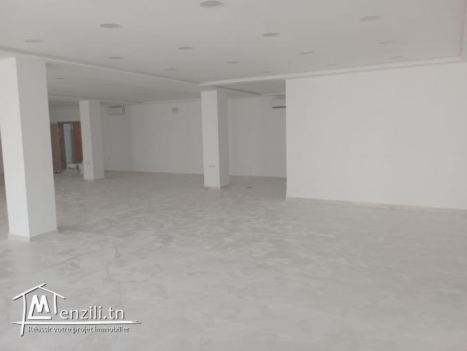 Open-spaces & magasins Salem 2