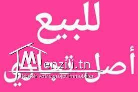 للبيع أصل تجاري في حمام الانف بن عروس