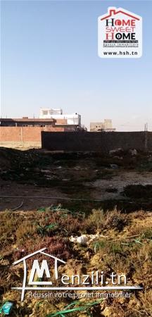 Terrain Sima A Vendre A Raoued