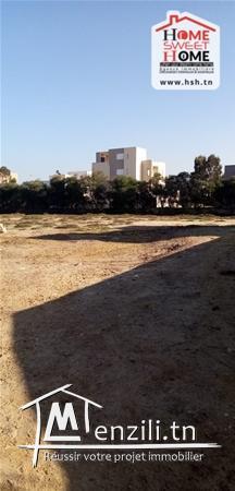 Terrain Sima A Vendre A Raoued