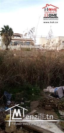 Terrain vedette A Vendre A Raoued Plage