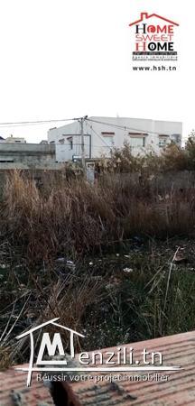 Terrain vedette A Vendre A Raoued Plage